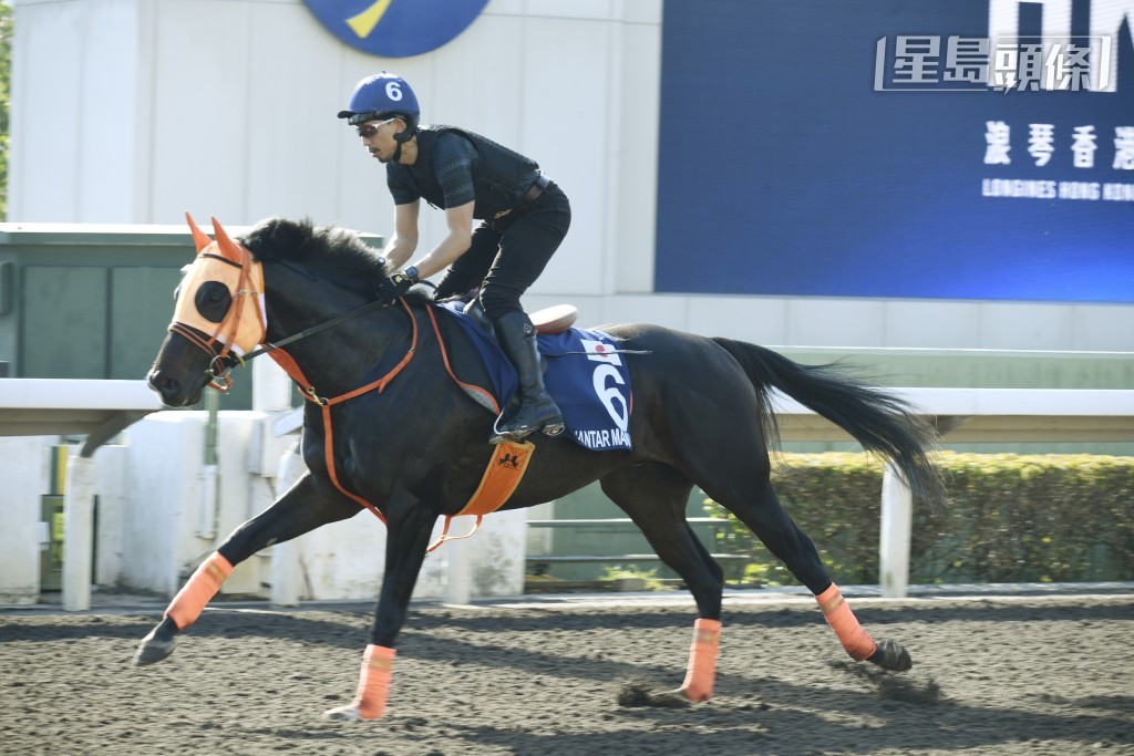 高野友和指「远观天象」(图) 现时是日本最佳一哩马，希望能够取得胜利。