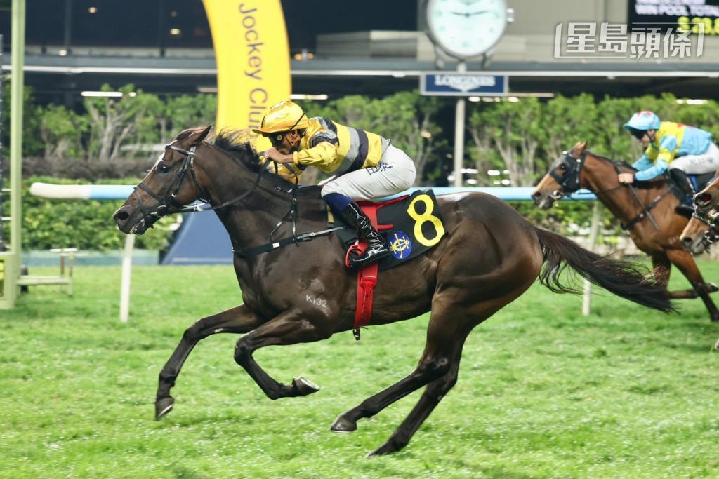 希威森接手田泰安原定坐騎「團結戰靈」(圖) 及「團結巴打」,這兩駒都是由桂福特訓練。 希威森接手田泰安原定坐騎「團結戰靈」(圖) 及「團結巴打」,這兩駒都是由桂福特訓練。