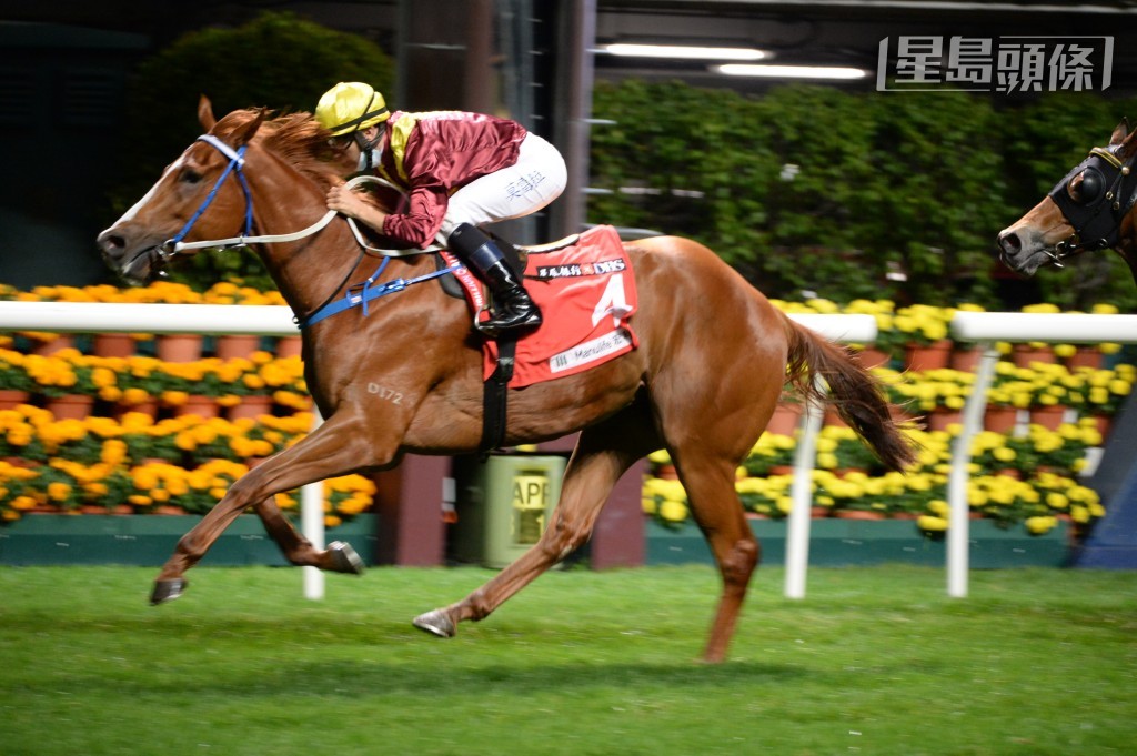 梁孔德以往养有的「精灵勇士」(图) 曾经由莫雷拉赢马，双方早有合作渊源。