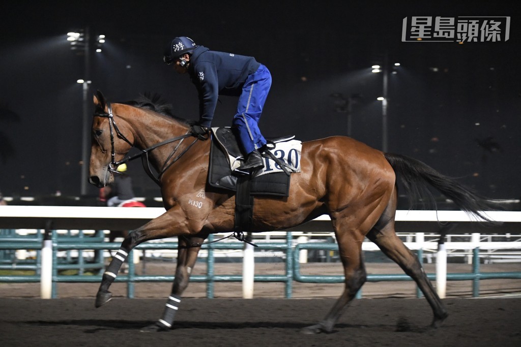 「光年魅力」(图) 也是麦道朗另一匹实力坐骑。