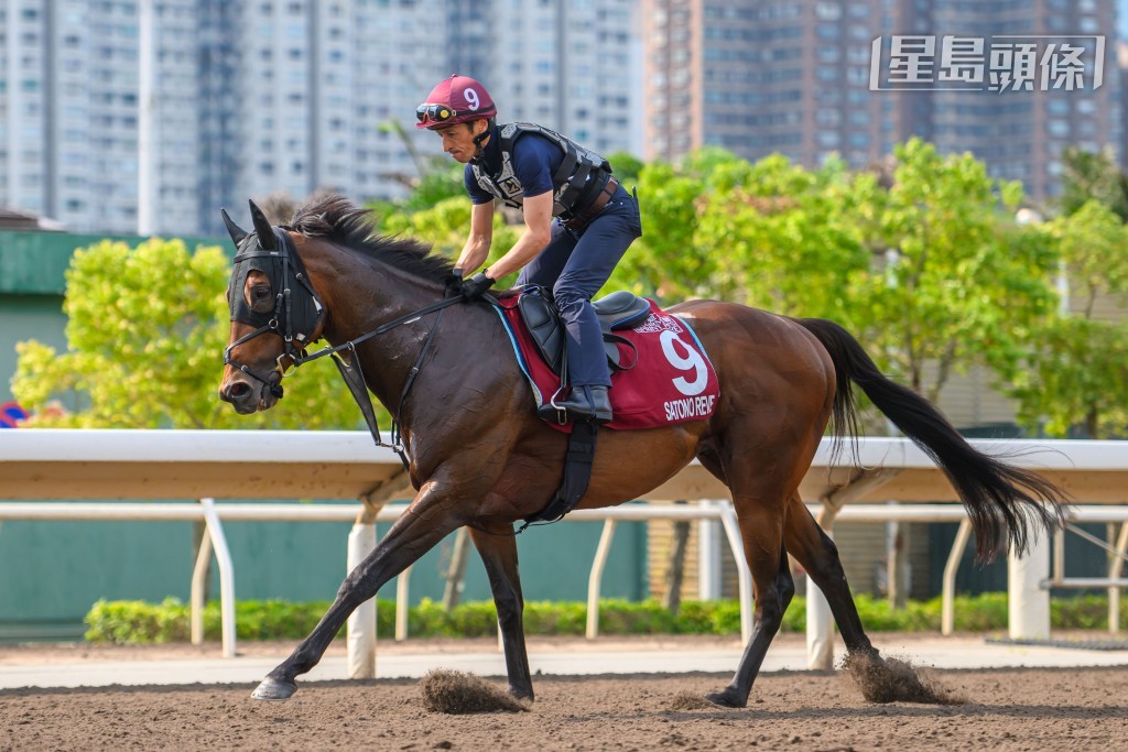 周日沙田赛事，方嘉柏的马房主帅莫雷拉在当日三场一级赛女皇杯、冠军一哩赛和主席短途奖均获得坐骑，分别是「六月豪取」及「一束芳花」及「里见梦境」(图)。