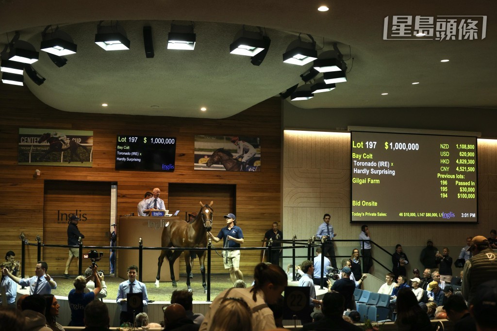 今日是澳洲墨爾本舉行的殷利殊2025精選周歲馬拍賣會的第一天。 今日是澳洲墨爾本舉行的殷利殊2025精選周歲馬拍賣會的第一天。