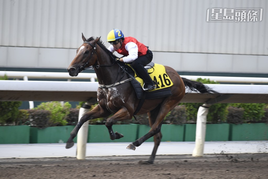 「洪運派彩」剛周二國慶日跑第二名，相隔不足一周輪到「廚師發辦」(圖) 上陣。