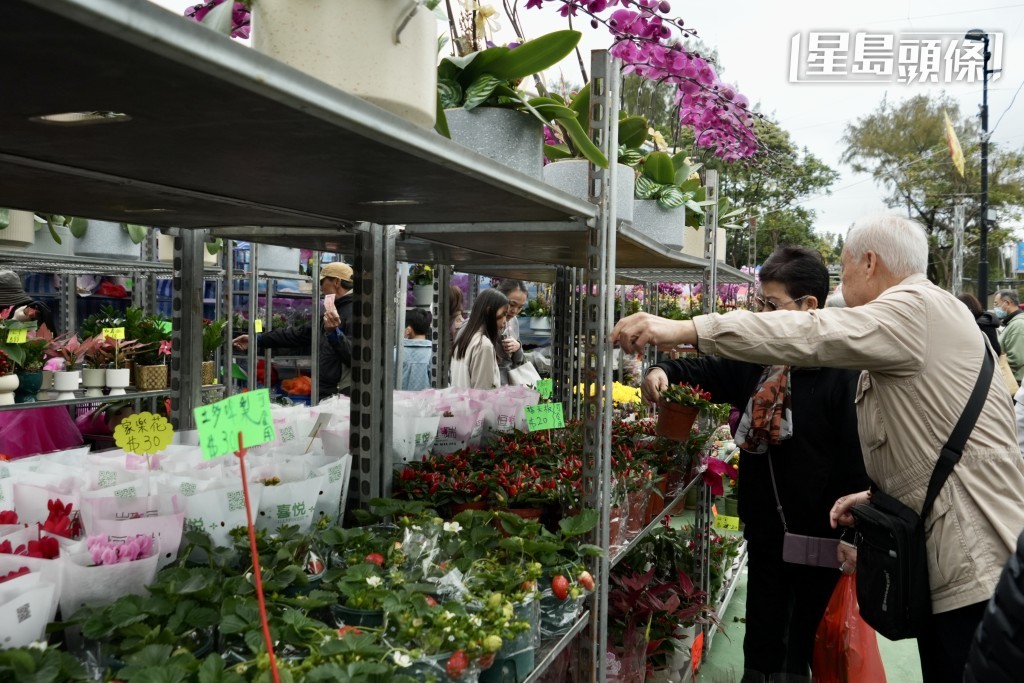 不少市民到全港最大的年宵市場維園辦年貨。劉駿軒攝