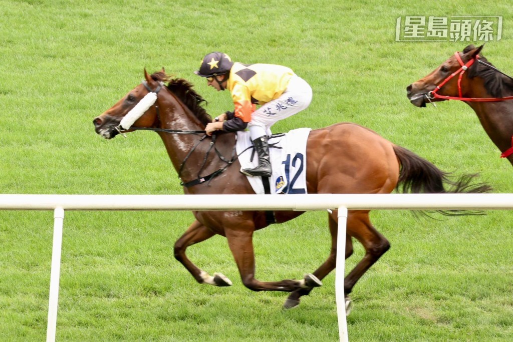  周日出戰沙田第三場四班一千米直路賽的賀廄「飛來霸」，上場造出55.44秒快時間贏同程。