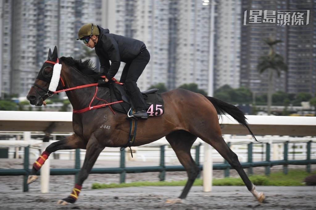 梁家俊為「非凡豪傑」操練。 梁家俊為「非凡豪傑」操練。