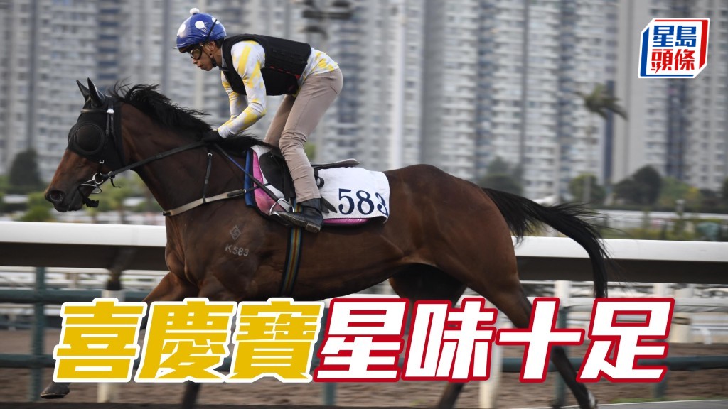 「喜慶寶」今早跳來神閒氣定輕鬆完成，比過往再多添一份成熟感，星味十足。(資料圖片)