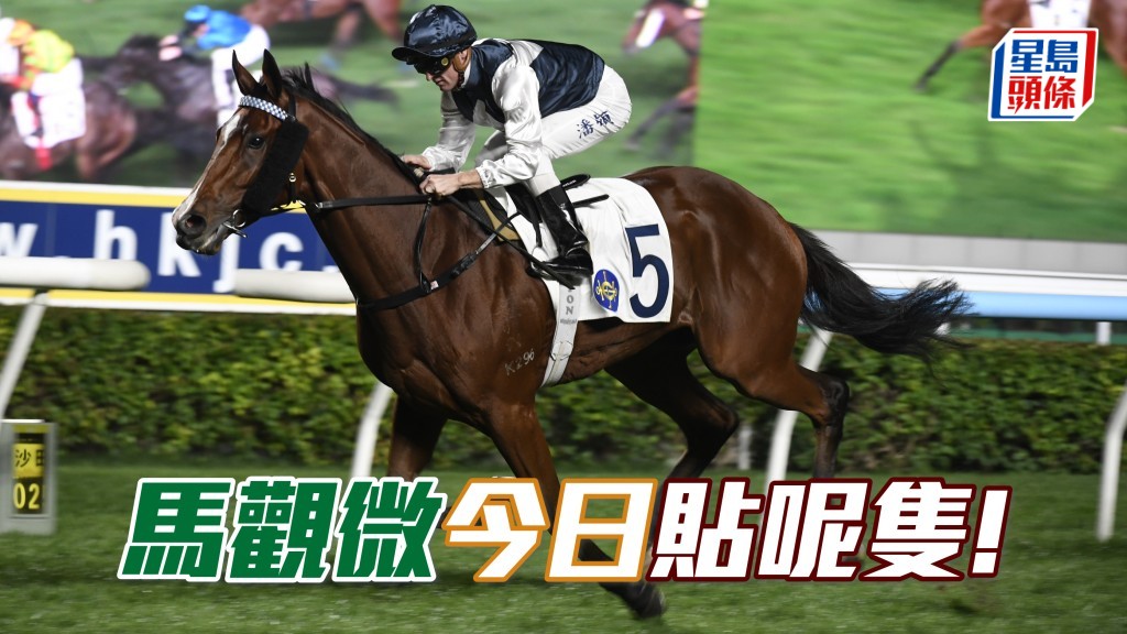 「白鷺金剛」同齡揸莊