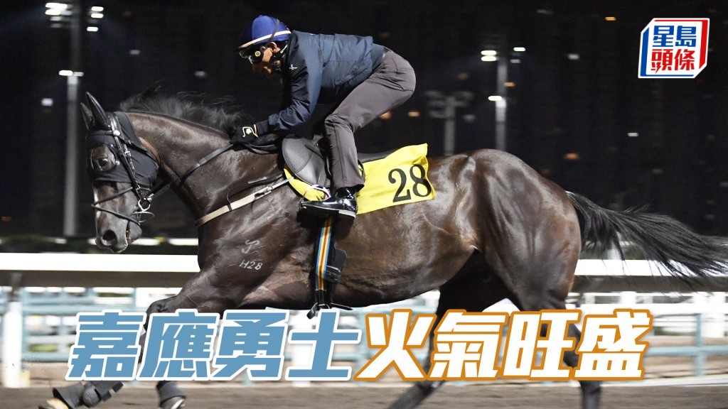 「嘉應勇士」神情專注目光如炬，神態活躍狀態托弗。