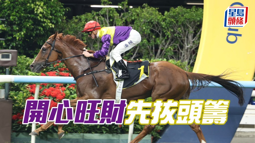 「開心旺財」先拔頭籌