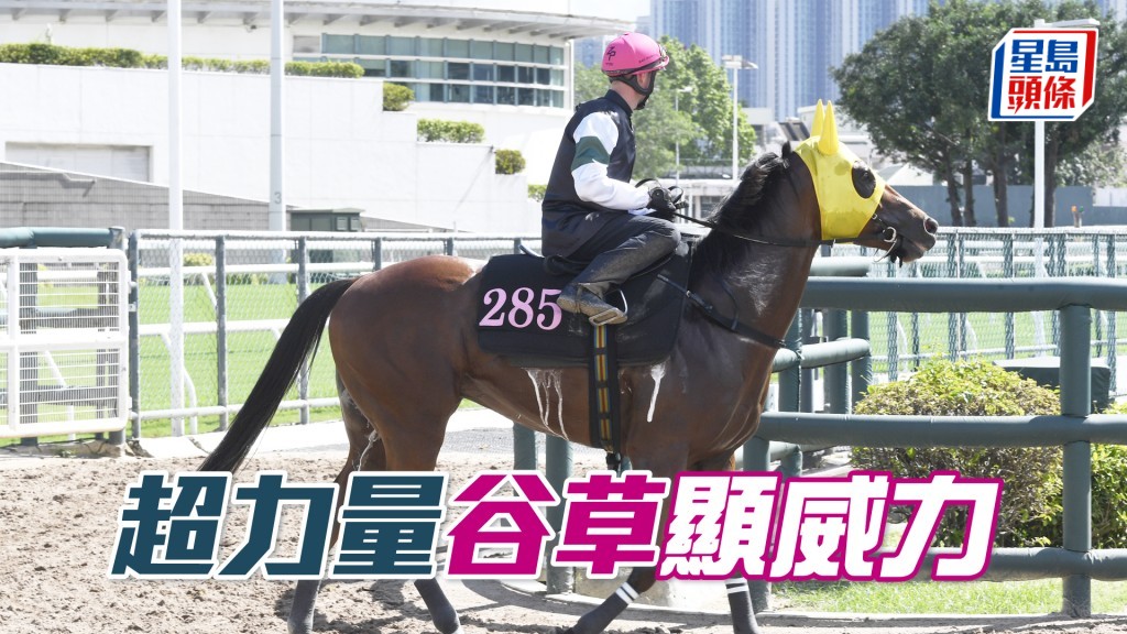 「超力量」速度夠高，應可留守領放馬之後伺機而動。