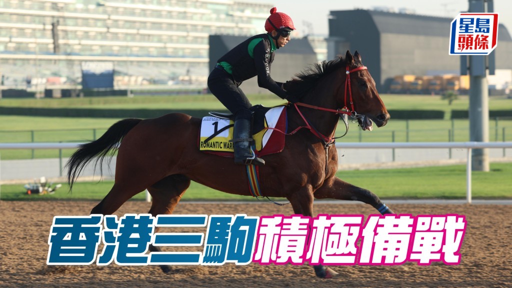 「浪漫勇士」今晨在美丹馬場大圈泥地跑道慢跳。 Bit Lau攝