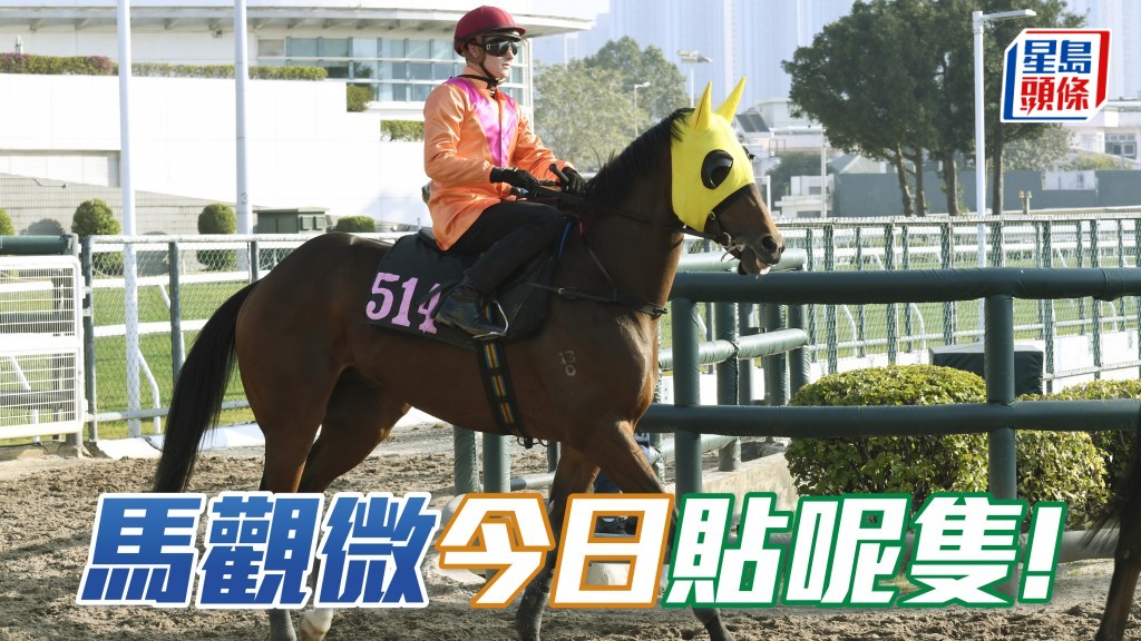 「勁沙塵」勢可出頭