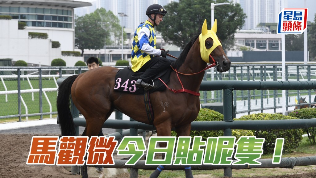 「錶之星河」今仗升班角逐擅跑的田草中短途，排中內檔，將能以上仗跑法增添佳績。