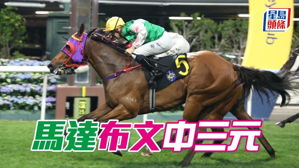 「马达」布文中三元