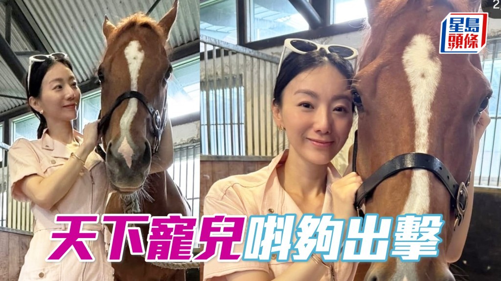「天下寵兒」明晚將出爭第四場四班千二米，力爭佳績。