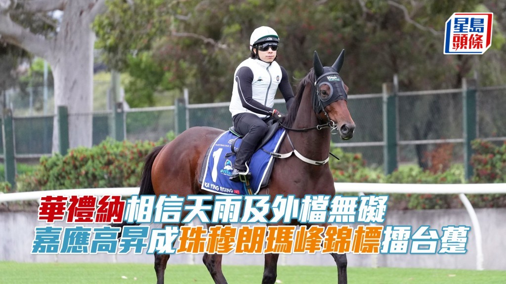 「嘉應高昇」今早在肯德百里馬場出操。