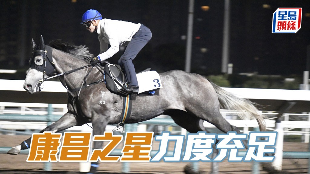 「康昌之星」运步如轮神采奕奕，勇况十足好吸引。