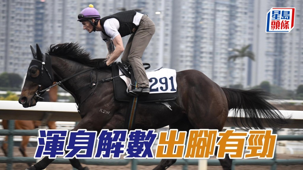 「渾身解數」出腳爽勁有力，馬身收得結實，外觀引人。