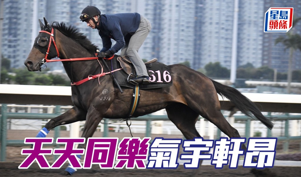 「天天同樂」近日試來勁度十足，氣宇軒昂，現時狀態已達大熟大勇境界。