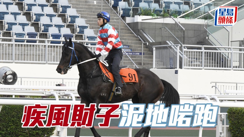 「疾風財子」泥地啱跑