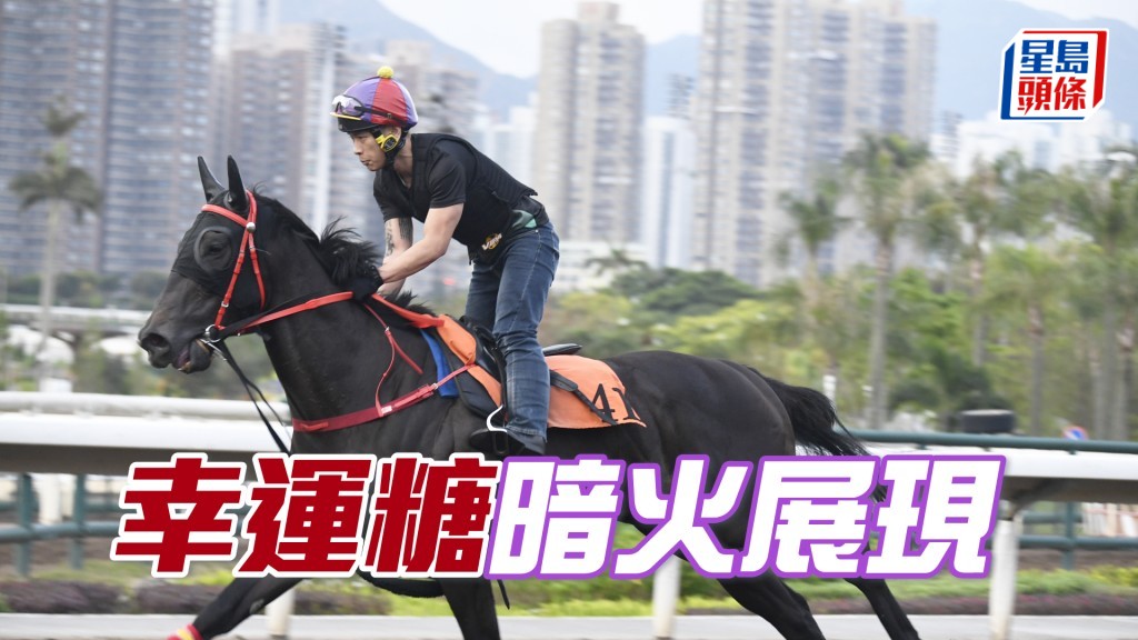  「幸运糖」运步如轮神采奕奕，长期见好展现朝气。