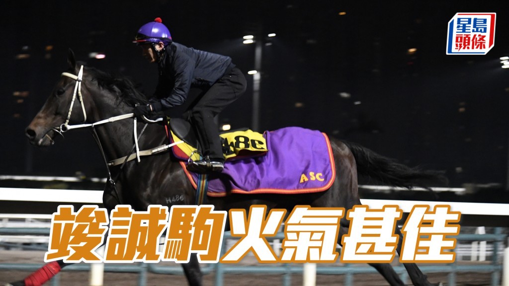 「竣誠駒」短韁繩扣實而馳，身依然靚。