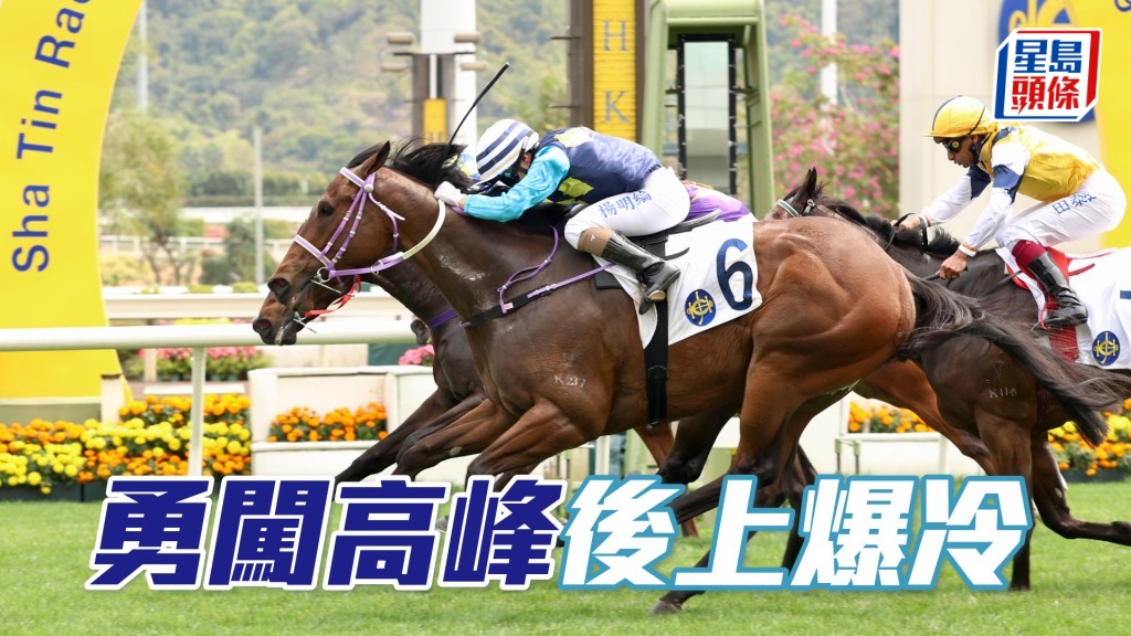 「勇闖高峰」後上爆冷