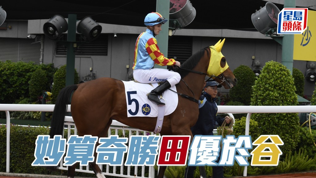 「妙算奇勝」賽前試大閘表現醒，狀態對辦。