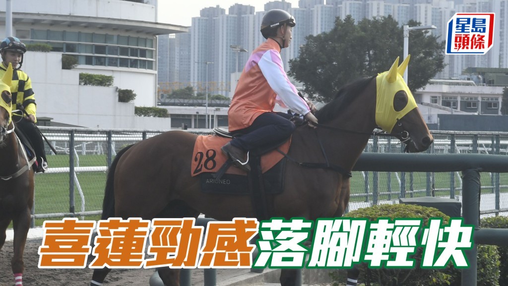 内圈捕影│「喜莲劲感」落脚轻快