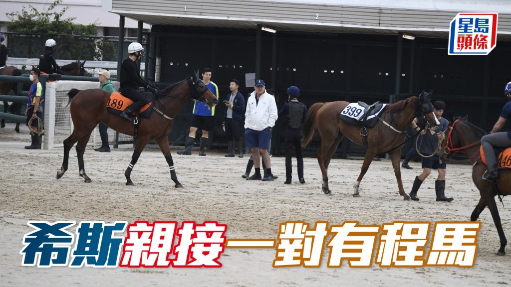 希斯 (白衫) 今早接一对有程马「喜行」及「飞跃星伴」。