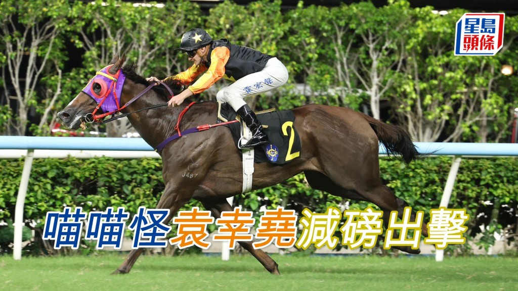 「喵喵怪」將易配袁幸堯減磅出擊，力爭跨季連捷。