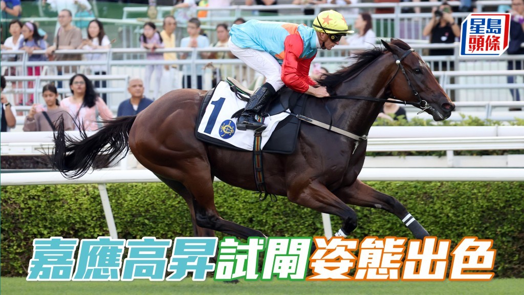 「嘉應高昇」在沙田以出色姿態完成馬季開鑼日前最後一次試閘。