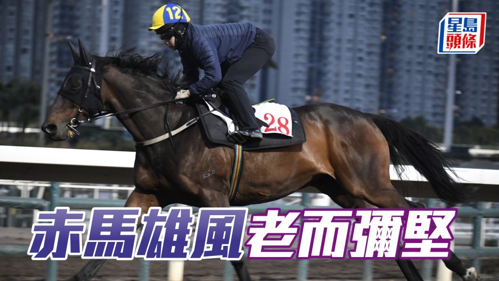 「赤馬雄風」馬身收得靚，出腳力度充足，老而彌堅。