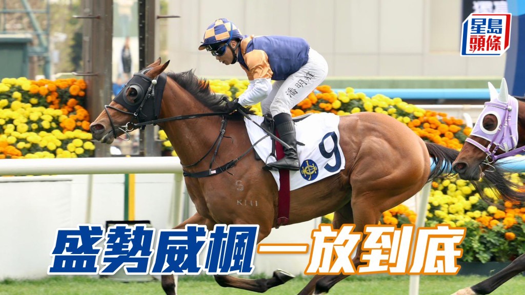 「盛勢威楓」一放到底