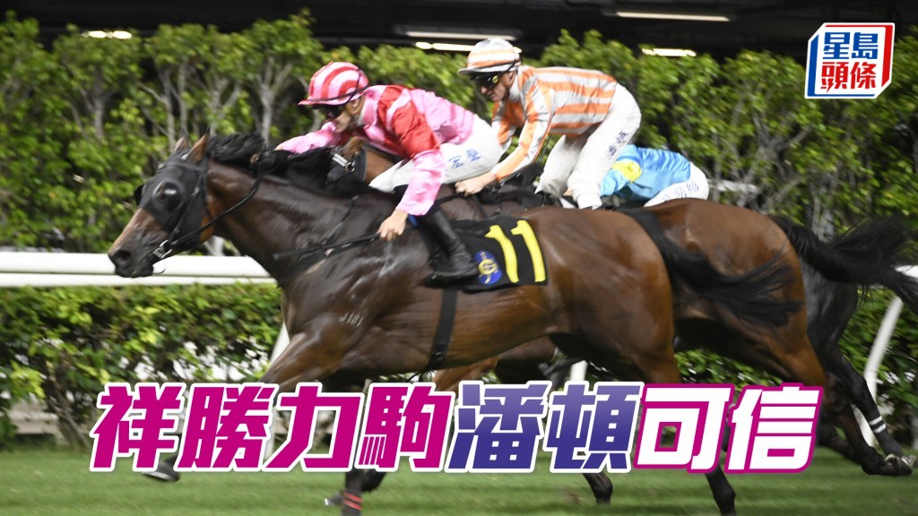 「祥勝力駒」上仗水準高，今次強配潘頓應有更好成績。