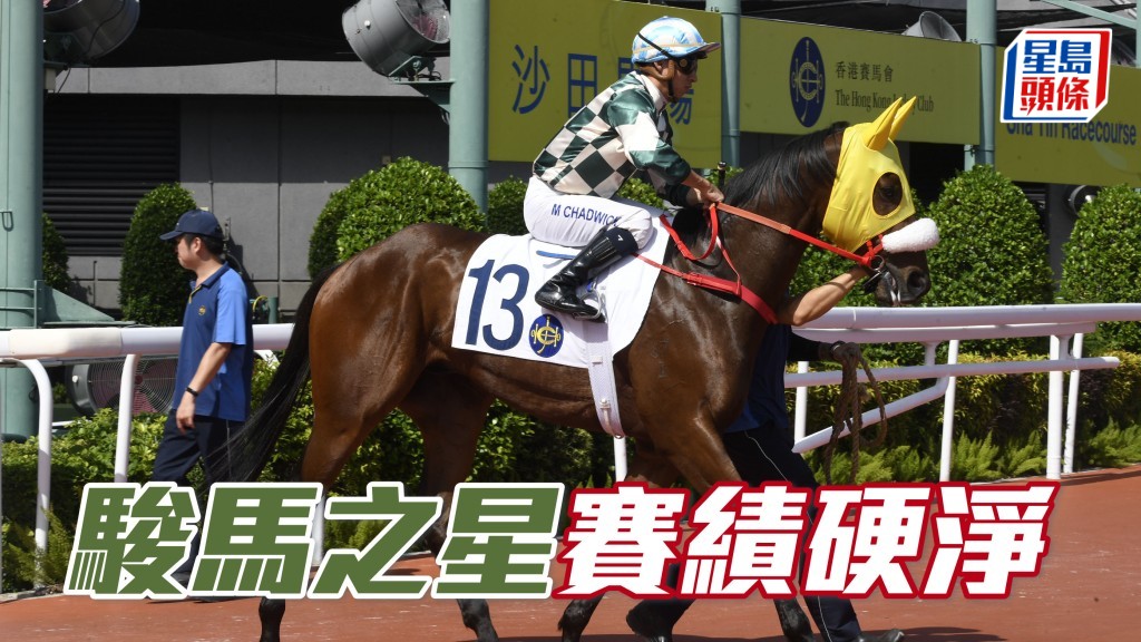 假如今仗「駿馬之星」(圖) 跑回上季同程可力逼「維港激流」的水準，套諸此組已足以爭勝。
