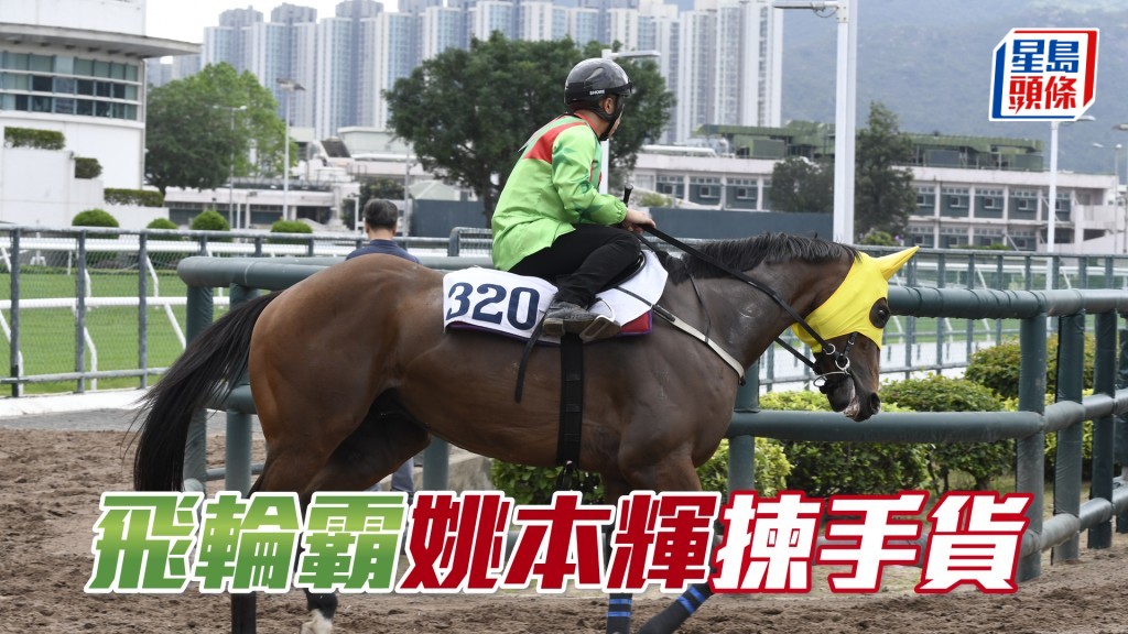 「飛輪霸」明日初出，將出戰第三場四班千二米。