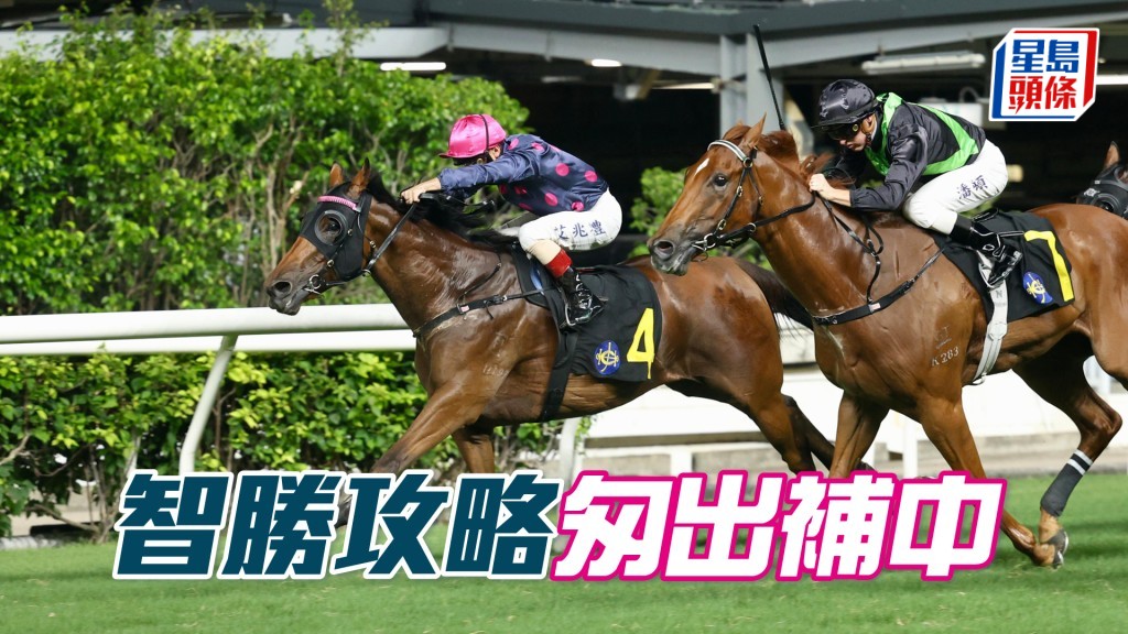「智勝攻略」匆出補中