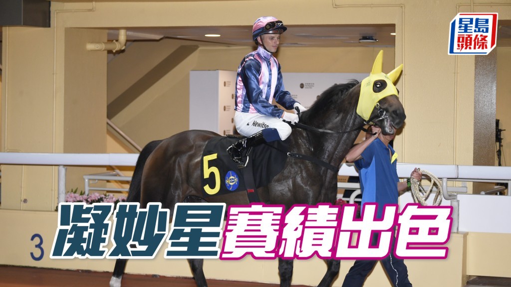 「凝妙星」上仗狀態未足都得亞軍，表現出色。