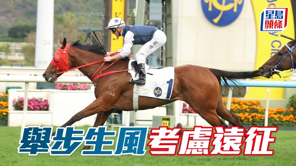 马场密探048｜「举步生风」考虑远征