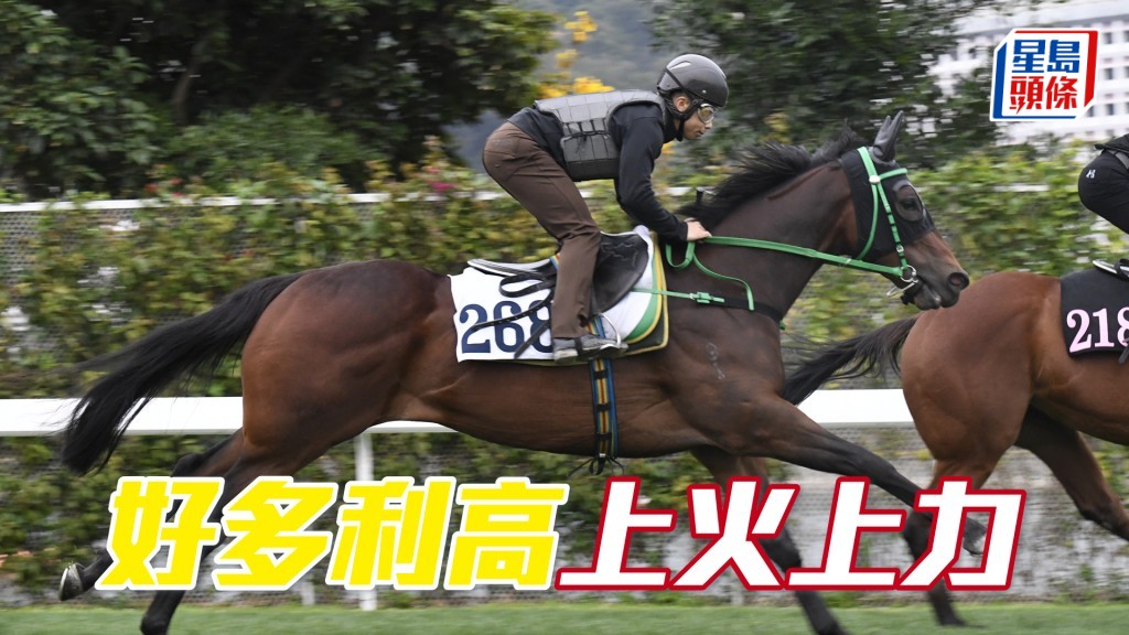 「好多利高」過步輕爽力度亦夠，試閘一再出色。