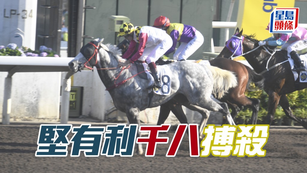 「堅有利」強配潘頓，重回贏馬路程千八米，搏殺味極濃。