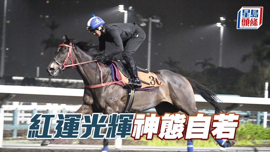 「紅運光輝」走勢爽朗有力，進度愈見理想。