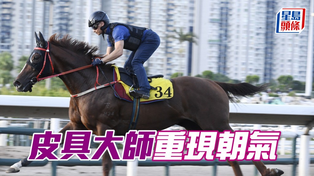 「皮具大師」步勁爽朗馬身粗壯，神態不俗。