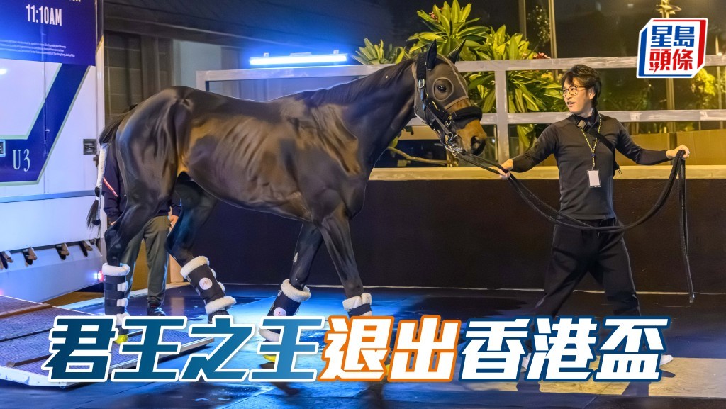 獸醫事務部（規管、福利及生物安全政策）通知受薪董事小組，「君王之王」(圖) 被發現右前腿不良於行，因此已按照獸醫意見退出浪琴香港盃。