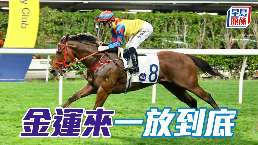 「金運來」一放到底