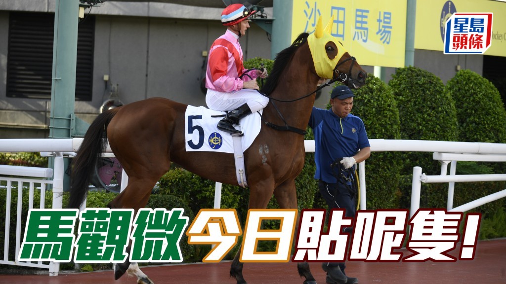 「祥勝鷹駒」游勝一籌