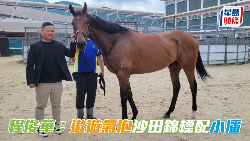 「遨遊氣泡」馬主團體成員程俊華透露，愛駒將會配華將潘明輝出戰沙田錦標。