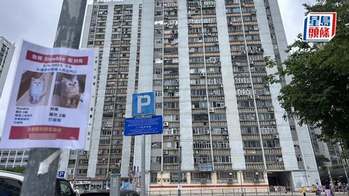 隆亨邨棄貓案│七旬翁因鼻敏感「打包」兩貓扔掉 女兒接外賣員通知成功尋回